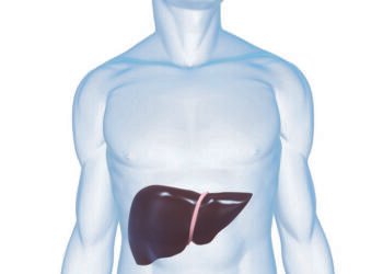 Hepatitis ما هو الألتهاب الكبدى الوبائى