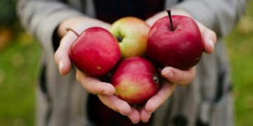 person holding four red apples